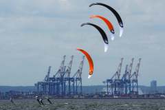 kite